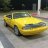 93canary