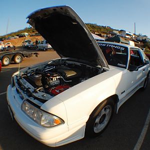 DSC_1901.JPG