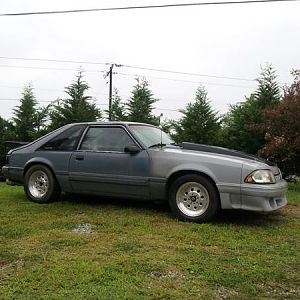 clints mustang.jpg