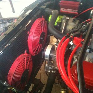 rsz_lil_redds_engine_bay_006.jpg