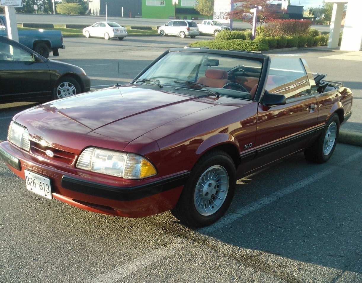 1987 Mustang CropPic-crop.jpg