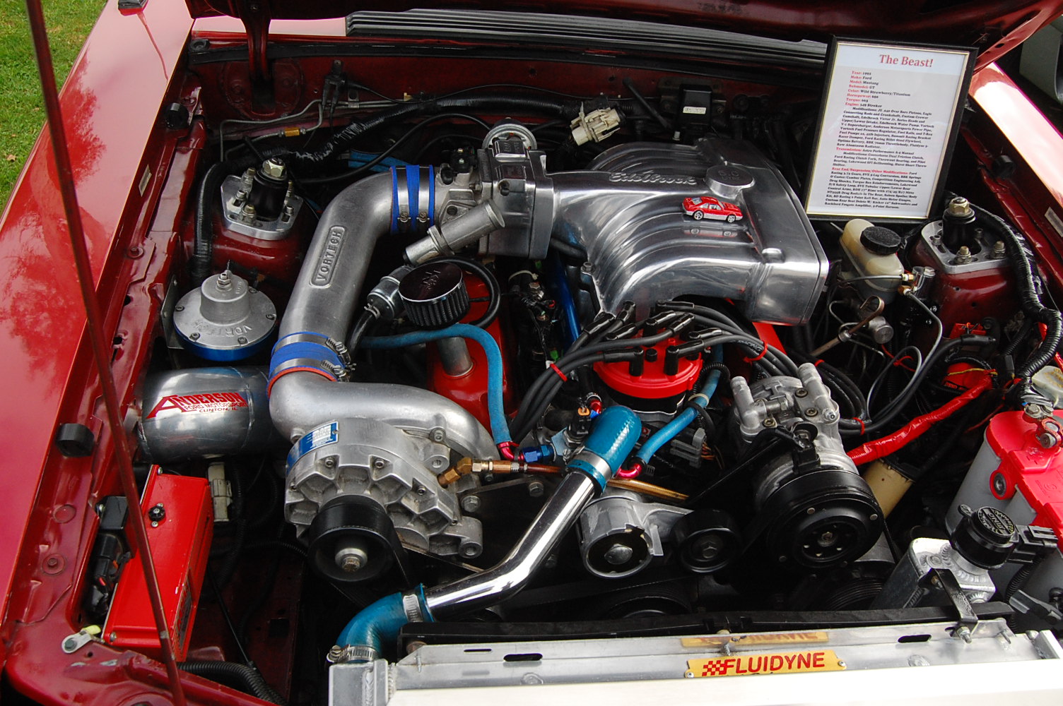 DSC_9907.JPG