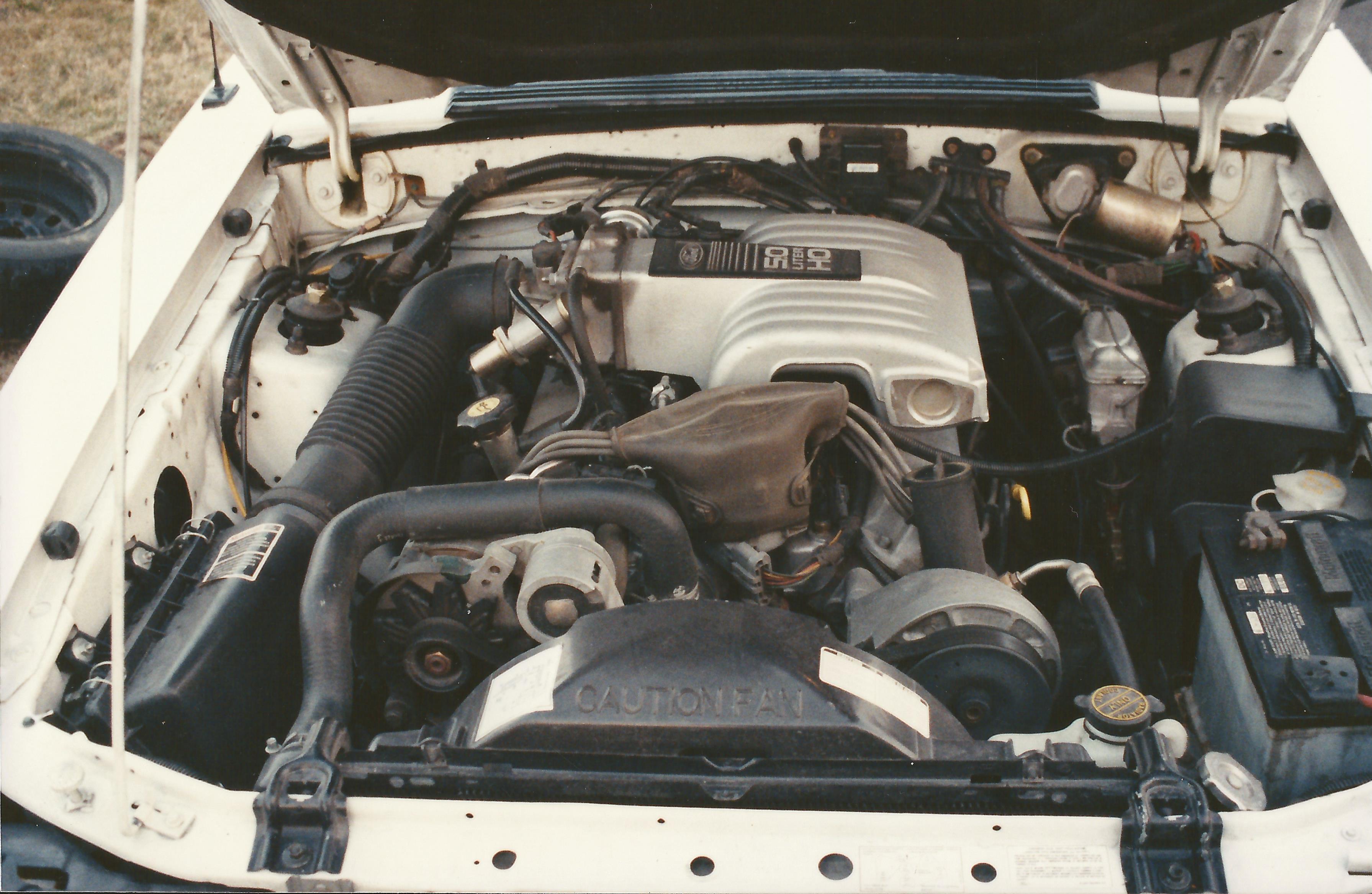 Mustang GT 3.jpg