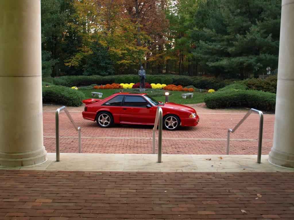 PA313065.jpg