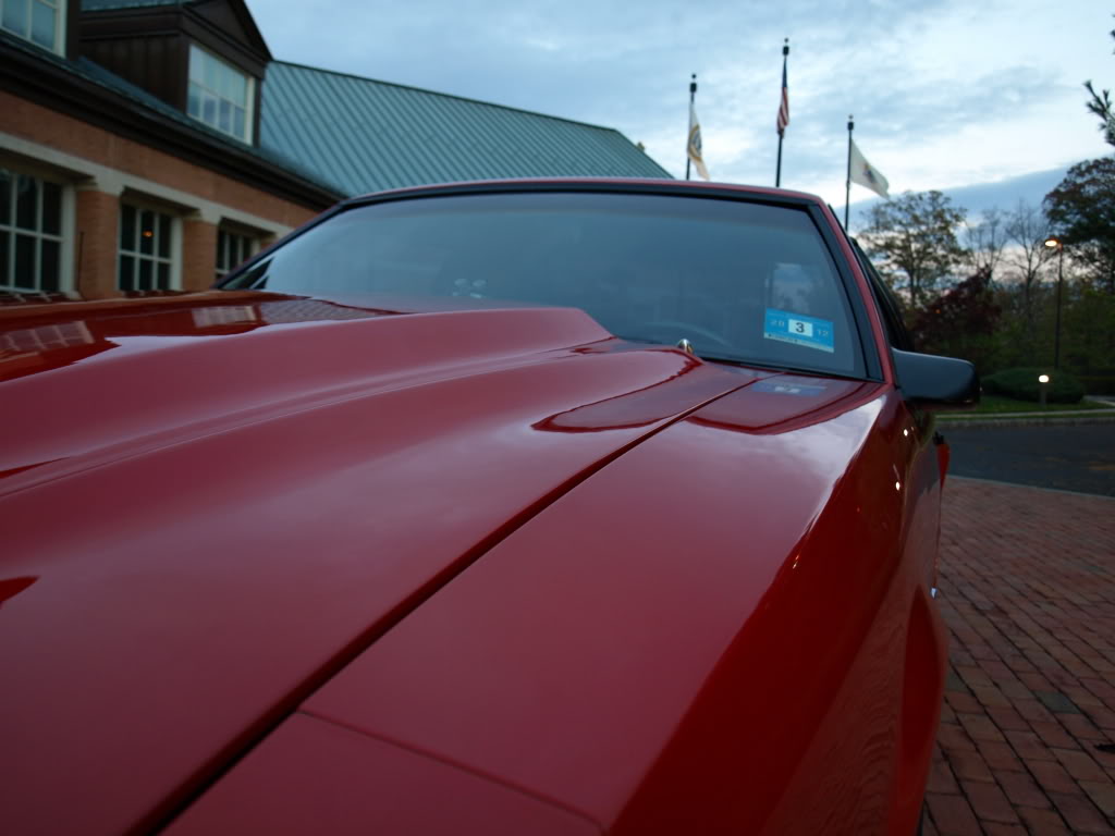 PA313098.jpg