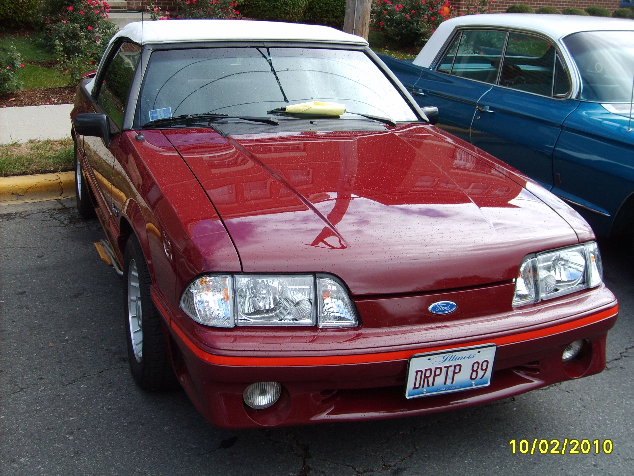 S5001311.jpg