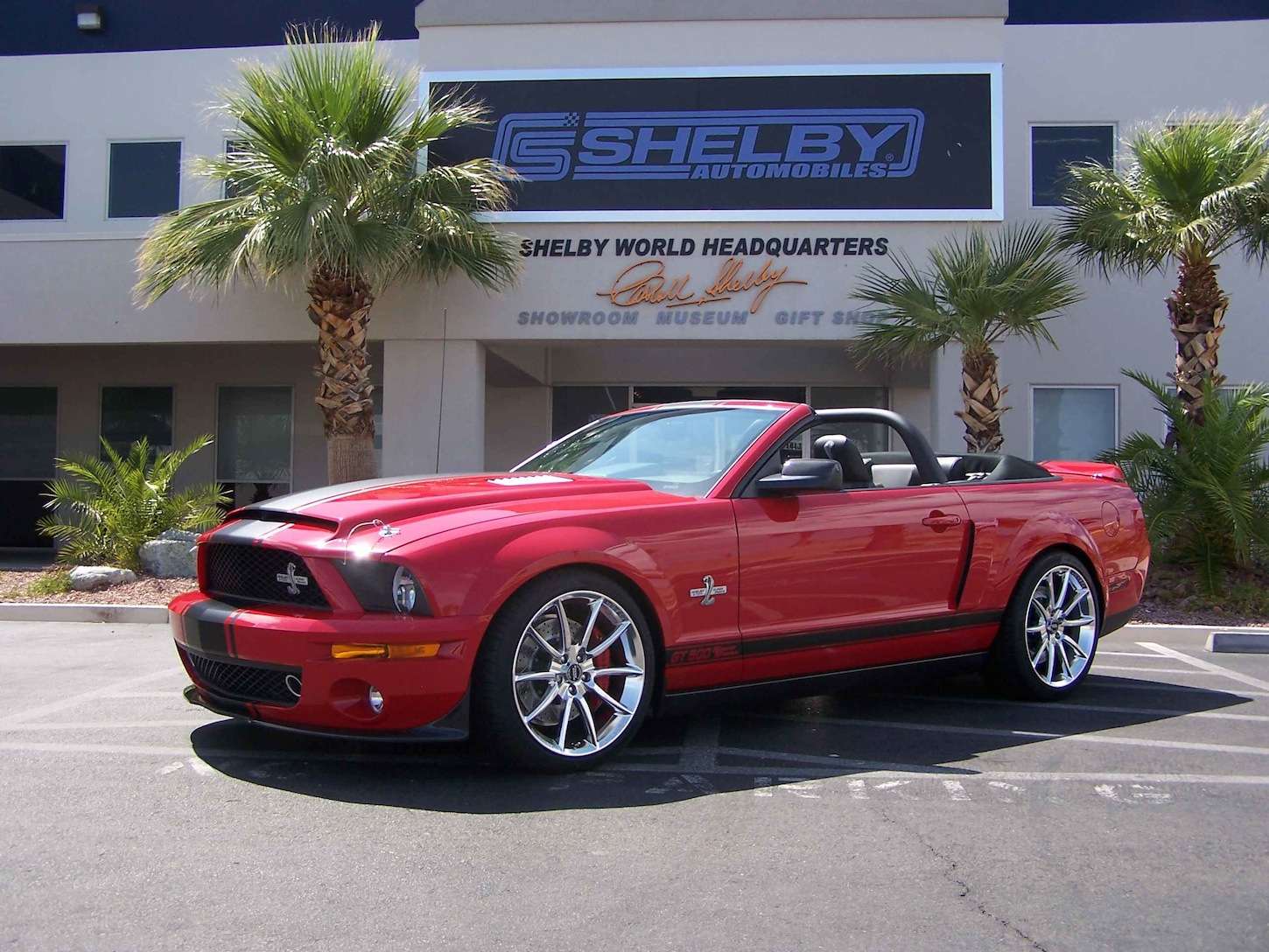 ShelbySS 015 small.jpg